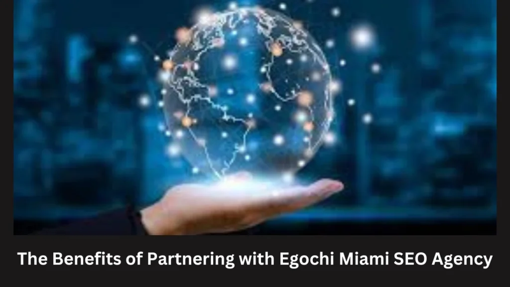 The Benefits of Partnering with Egochi Miami SEO Agency