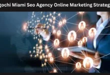 egochi miami seo agency