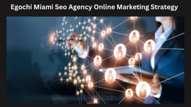 egochi miami seo agency