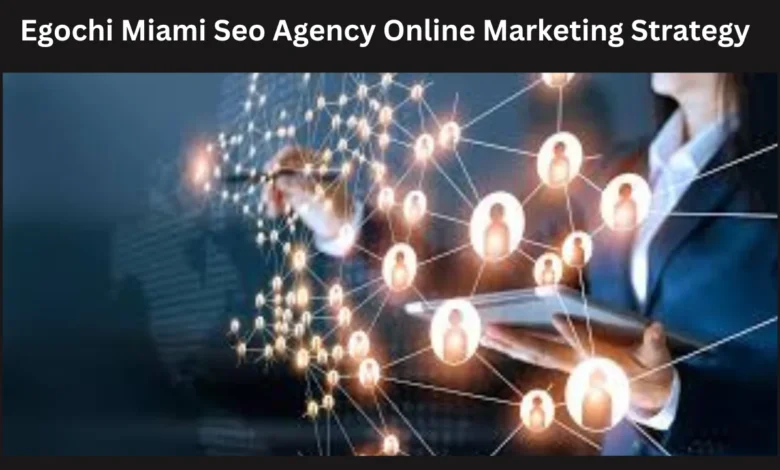 egochi miami seo agency